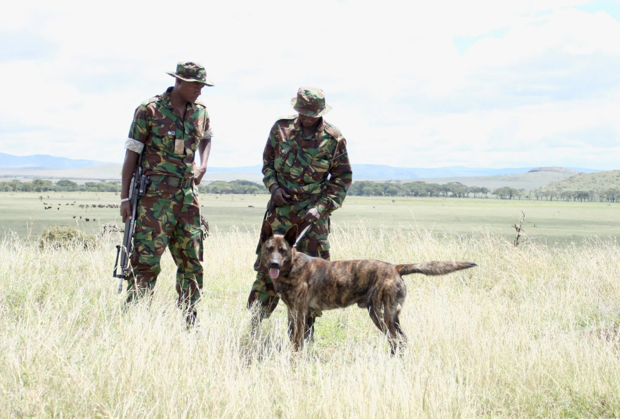 巡护员在非洲草原上 - 四虎 | 人与自然